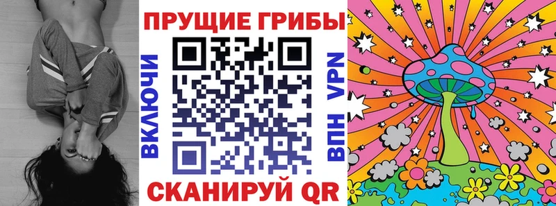 Купить закладки  Городец  Псилоцибиновые грибы мицелий 
